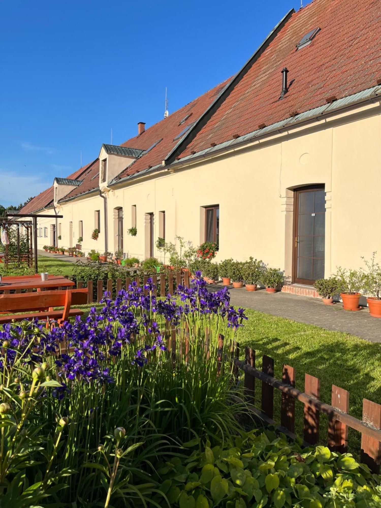 Hotel Dvůr Nové Zámky Mladec Exterior foto