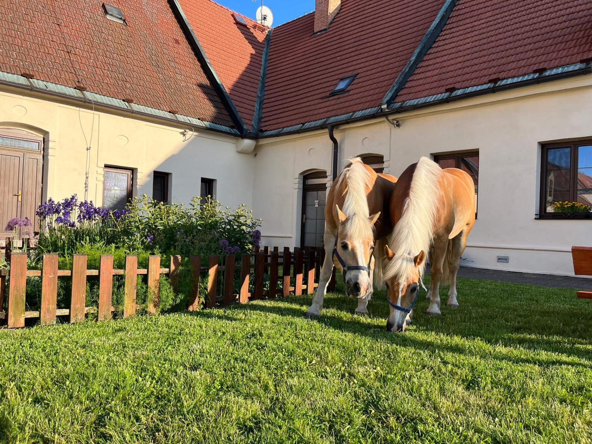 Hotel Dvůr Nové Zámky Mladec Exterior foto